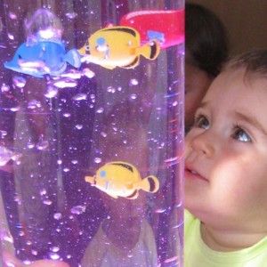 Set of colourful fishes for bubble tube 